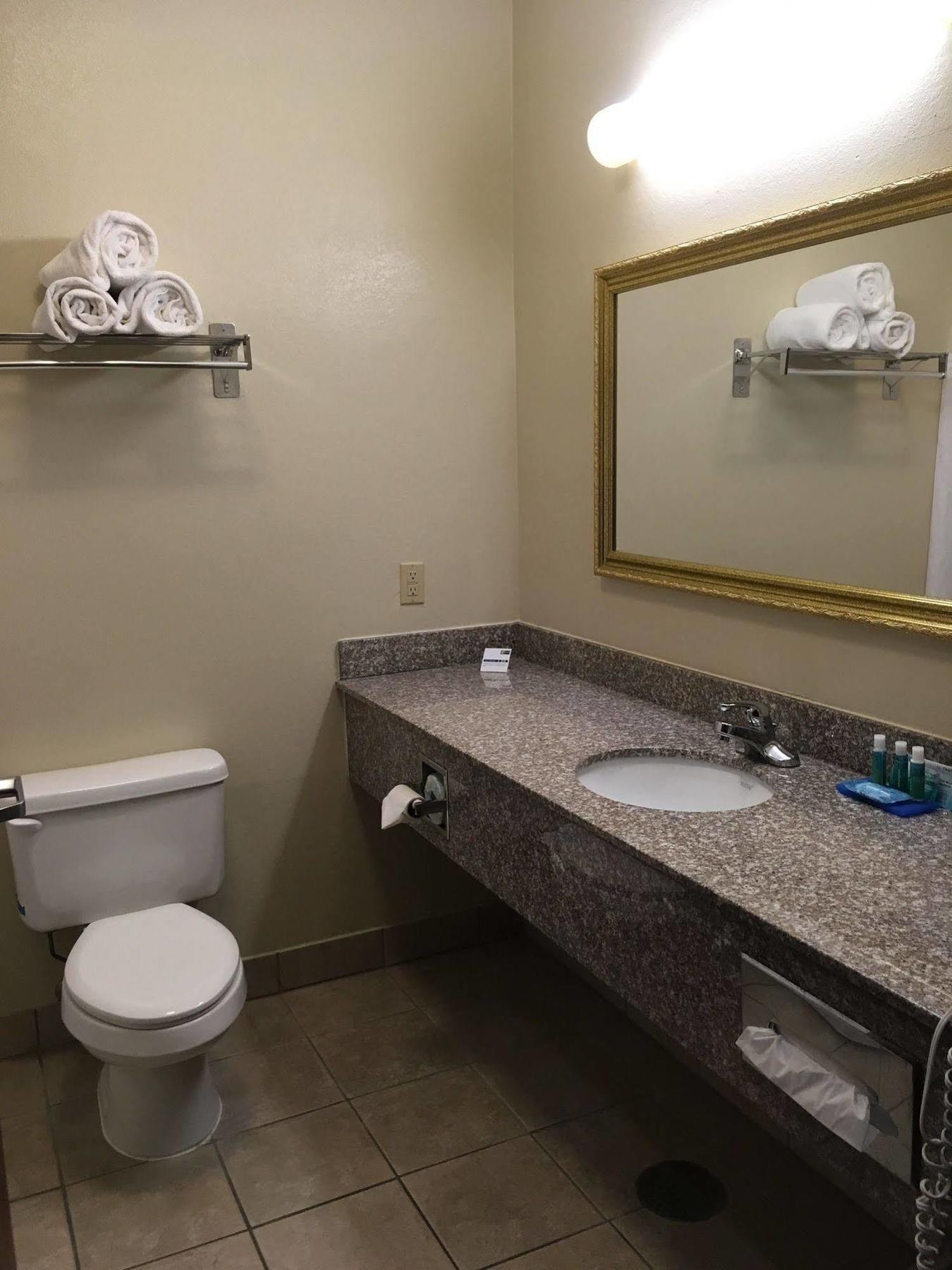 Holiday Inn Express Hotel & Suites Cadillac By Ihg Eksteriør billede